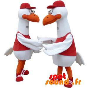 2 maskotter af måger, hvide fugle, kæmper - Spotsound maskot