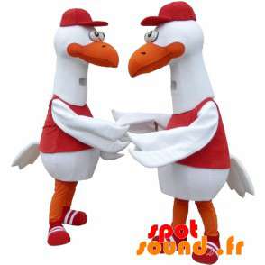 2 maskotter af måger, hvide fugle, kæmper - Spotsound maskot
