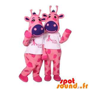 2 mascottes de vaches roses...