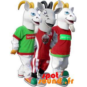 3 Ziegen mascots, Ziegen,...