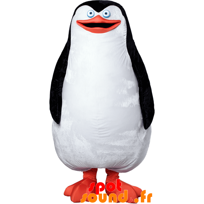 Plump og sød hvid, sort og orange pingvin maskot - Spotsound