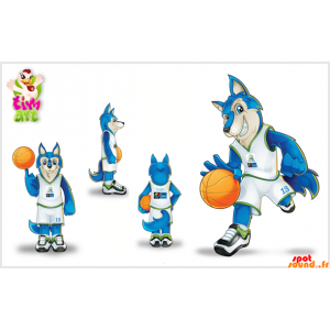 ウルフマスコットはバスケットボールを保持しています。青狼