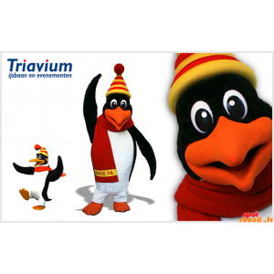 Svart, vit och orange pingvinmaskot. Penguin kostym - Spotsound