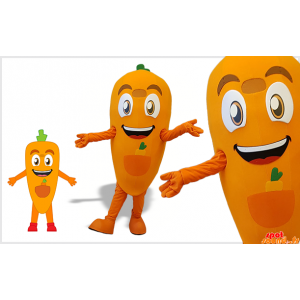 Mascot Orange And Green...