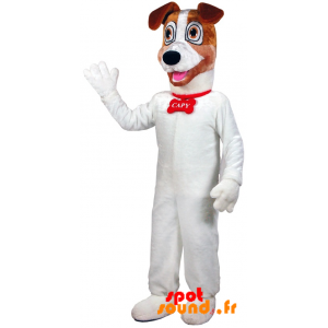 Mascotte de chien blanc et marron. Costume de chien