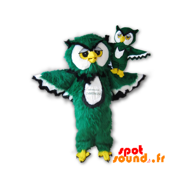 Maskot Chartreuse. Green Sova maskot, bílá a černá - Maskot ptáci - MASFR034231 - SpotSound.fr