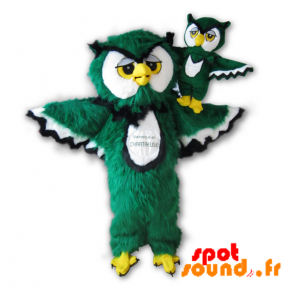 Maskot Chartreuse. Green Sova maskot, bílá a černá - Maskot ptáci - MASFR034231 - SpotSound.fr