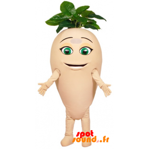 Mascot Turnip, Giant Radishes With Leaves - MASFR034373 - Mascot of vegetables