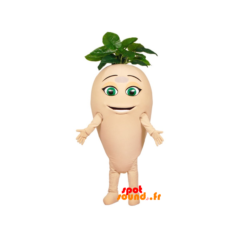 Mascot Turnip, Giant Radishes With Leaves - MASFR034373 - Mascot of vegetables