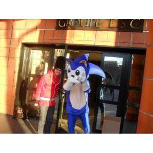 Mascot SONIC - Puku videopelit SEGA - sininen siili - MASFR00526 - julkkikset Maskotteja