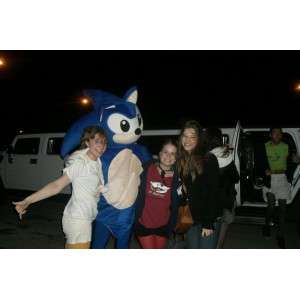 SONIC Mascot - Costume SEGA video games - Blue Hedgehog - MASFR00526 - Mascots famous characters