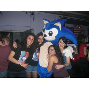 SONIC Mascot - Costume SEGA video games - Blue Hedgehog - MASFR00526 - Mascots famous characters