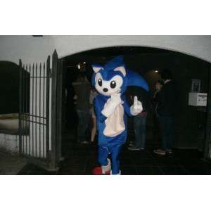 SONIC Mascot - Costume SEGA video games - Blue Hedgehog - MASFR00526 - Mascots famous characters