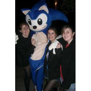 SONIC Mascot - Costume SEGA video games - Blue Hedgehog - MASFR00526 - Mascots famous characters