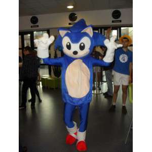 Mascotte SONIC - Costume jeux vidéo SEGA - Hérisson bleu - MASFR00526 - Mascottes Personnages célèbres