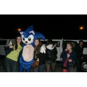 SONIC Mascot - Costume SEGA video games - Blue Hedgehog - MASFR00526 - Mascots famous characters