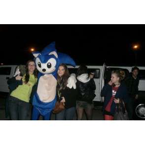 Mascot SONIC - Costume video games SEGA - blauwe egel - MASFR00526 - Celebrities Mascottes