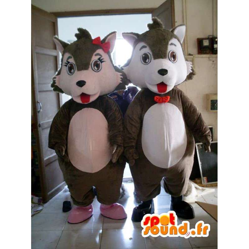 Terno masculino ou esquilo feminino - traje de pelúcia - MASFR001163 - mascotes Squirrel