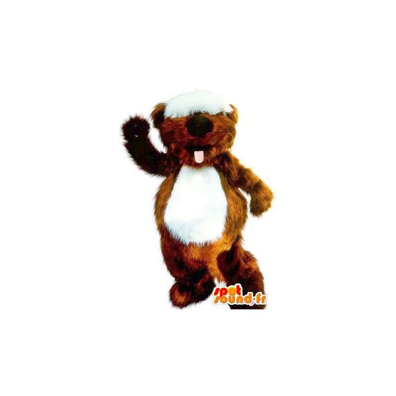 Beaver Mascot con mechón en los ojos, roedor traje - MASFR001711 - Mascotas castores
