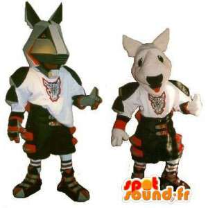 Pitbull maskotter i rustning, moderne gladiator kostume -