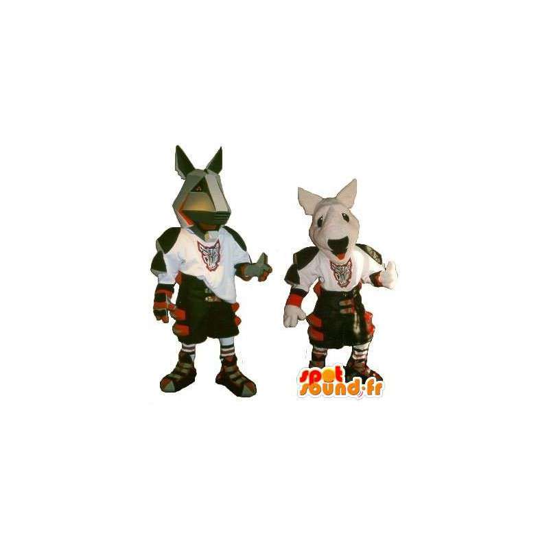 鎧を着たピットブルのマスコット、現代の剣闘士の変装-masfr001895-犬のマスコット