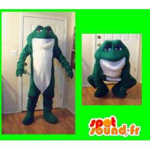 Rappresentando una rana rana mascotte costume - MASFR002253 - Rana mascotte