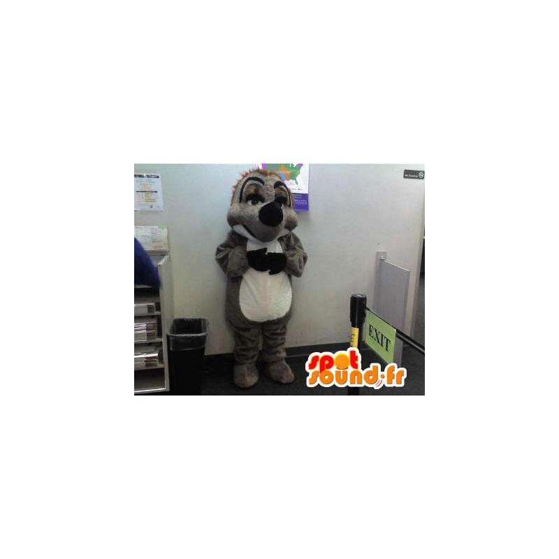 Mascotte représentant un animal à fourrure, déguisement de fouine - MASFR002301 - Animaux de la forêt