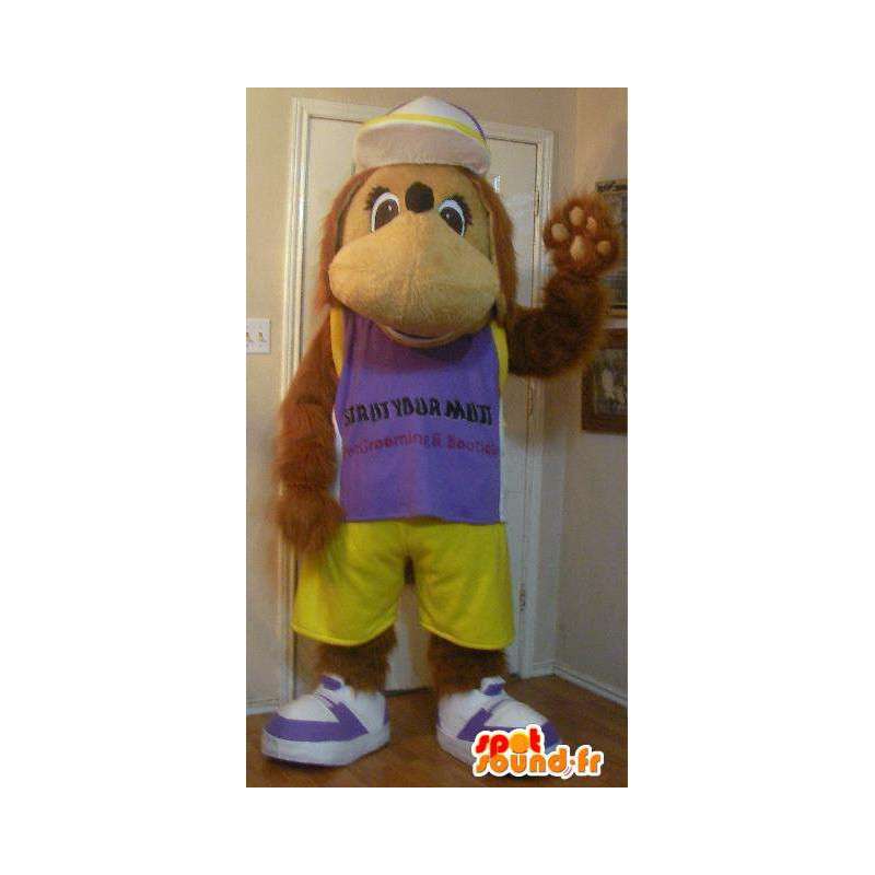 Representing a teddy bear mascot costume teddy bear - MASFR002305 - Bear mascot