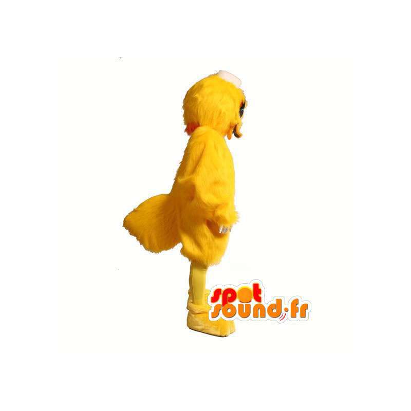 Amarelo mascote pato. Costume Duck em patos mascote Mudança de cor Sem  mudança Cortar L (180-190 Cm) Esboço antes da fabricação (2D) Não Com as  roupas? (se presente na foto) Não Acessórios