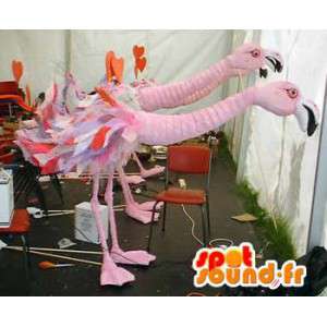 Maskottchen 2 Flamingos - Pack 2 Kostüme Flamingo