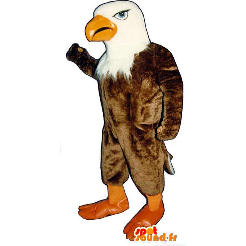 Maskotti ruskea ja valkoinen kotka - kotka puku teddy - MASFR003145 - maskotti lintuja