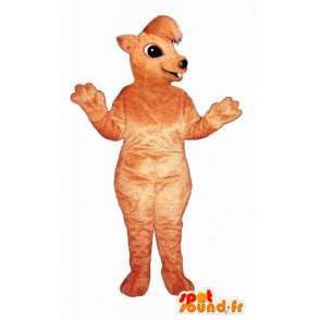 Esquilo laranja mascote - Squirrel Suit - MASFR003266 - mascotes Squirrel