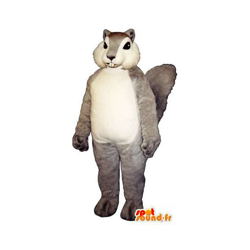 γκρι και λευκό σκίουρος μασκότ - σκίουρος κοστούμι - MASFR003271 - μασκότ σκίουρος