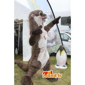 Mascot doninha marrom e branco - traje Otter - MASFR003498 - Mascotes dos filhotes