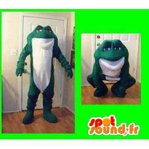 Giant grønn padde maskot - Toad Costume - MASFR003587 - Frog Mascot