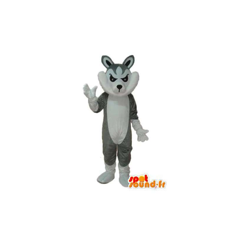 Cinza e branco gato mascote - traje do gato - MASFR003778 - Mascotes gato