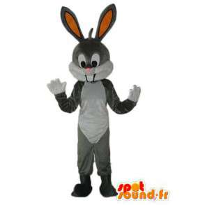 Grå og hvit kanin maskott - utstoppet kanin drakt - MASFR003922 - Mascot kaniner