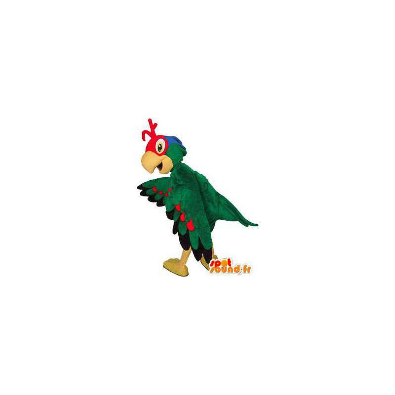 色とりどりの鳥のマスコット。カラフルな鳥のコスチューム-MASFR004492-鳥のマスコット