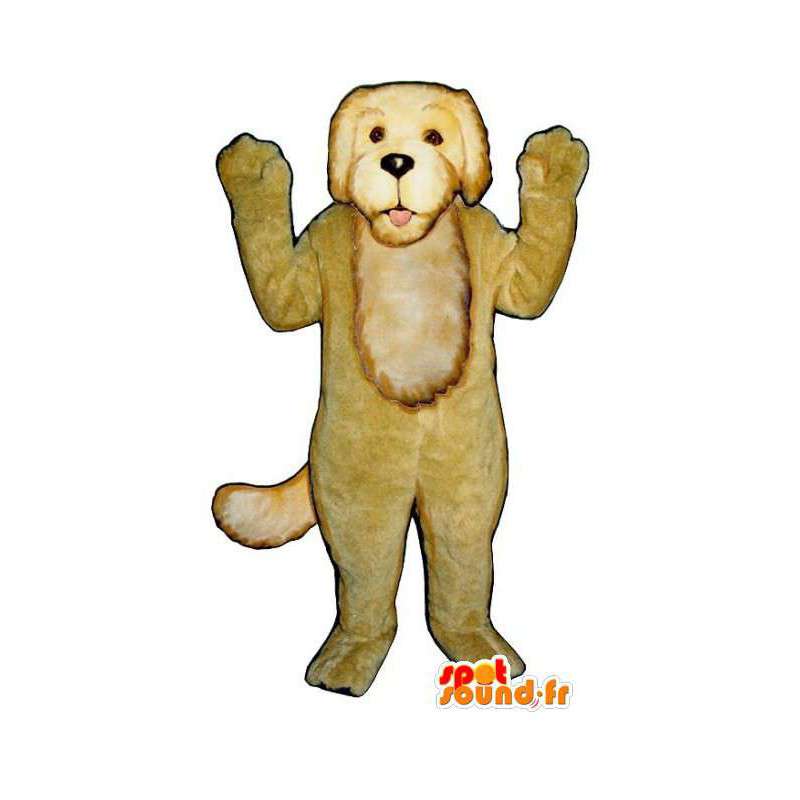 茶色の犬のマスコット。犬のコスチューム-MASFR004598-犬のマスコット