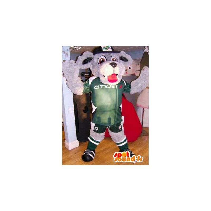 Harmaa koira maskotti pukeutunut vihreään urheilu - MASFR004875 - koira Maskotteja