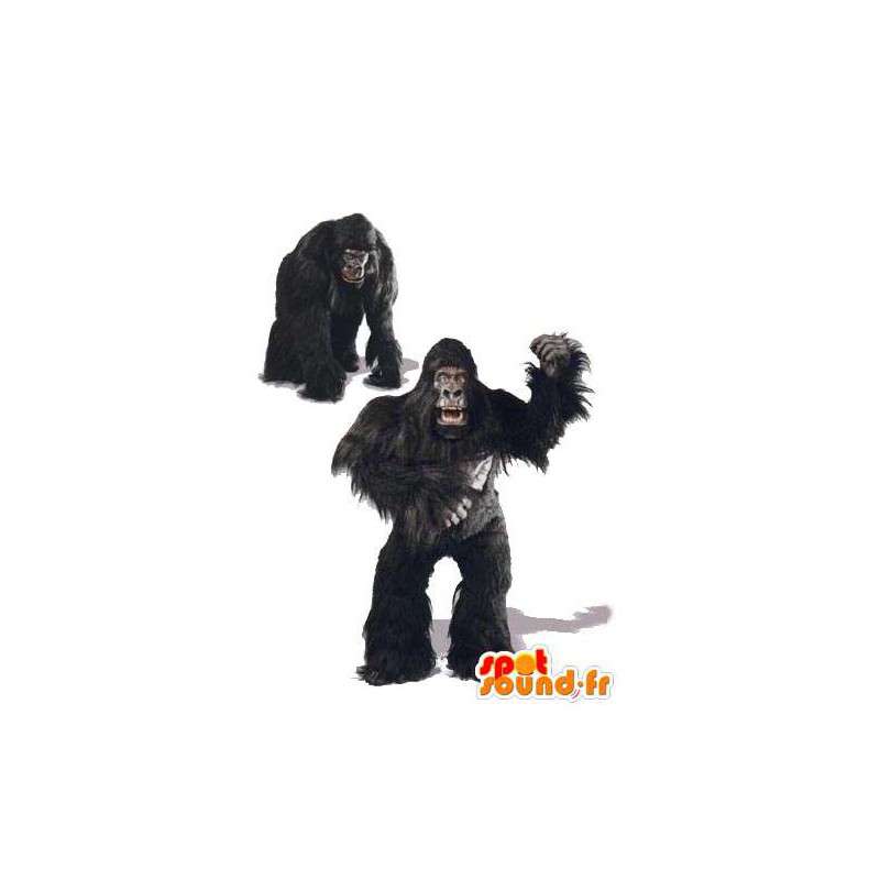 Maskot King Kong - King Kong kostým  - MASFR005075 - Celebrity Maskoti