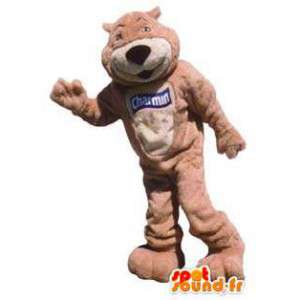 Costume mascotte ours charmin papier toilette - MASFR005164 - Mascotte d'ours