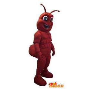 Maur karakter maskot kostyme voksen - MASFR005294 - Ant Maskoter