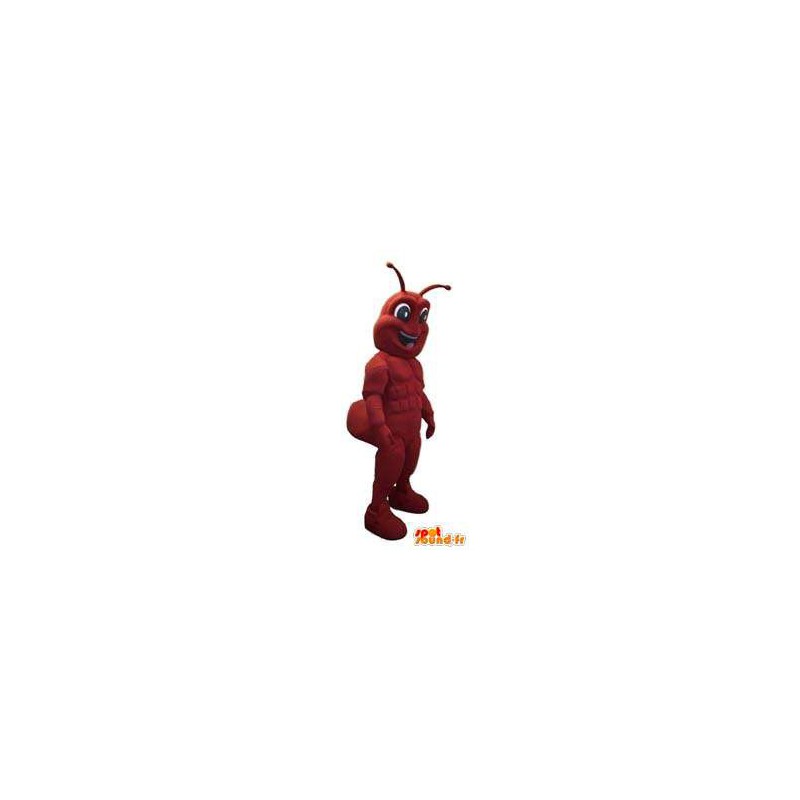 Ant Character maskotti puku aikuinen - MASFR005294 - Ant Maskotteja