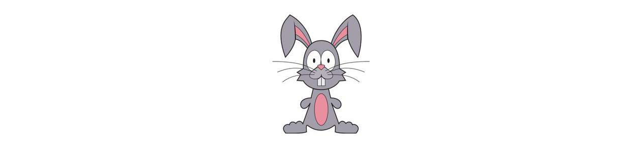 Mascotte de lapins - Mascottes Animaux