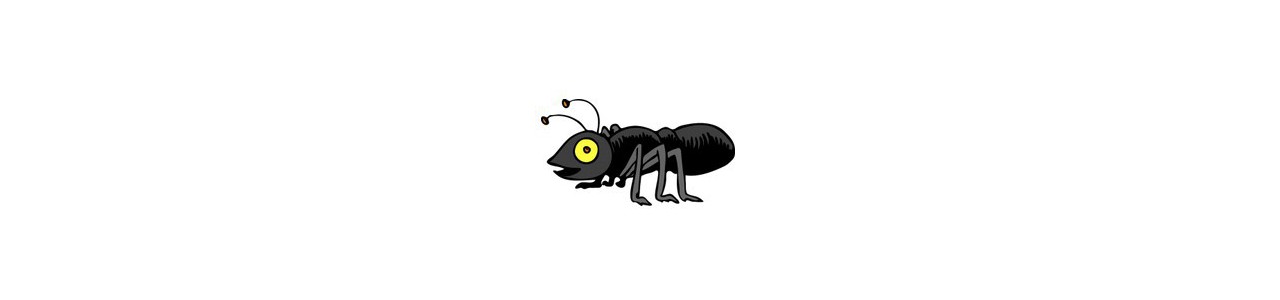 Mascotte di formiche - Mascotte di insetti -