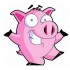 Mascottes Cochon