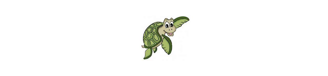 Turtle maskoter - Maskoter av havet - Maskoter