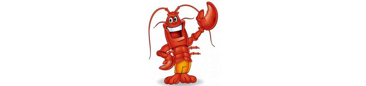 Mascottes Homard - Mascottes océan - Mascottes