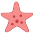 Mascotas estrella de mar